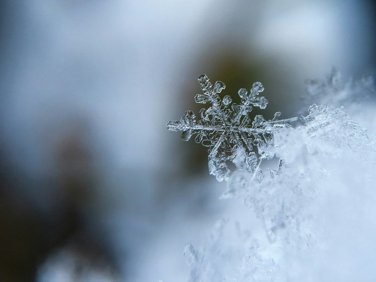 Copo de nieve. Foto: Unsplash.