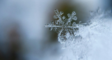 Copo de nieve. Foto: Unsplash.