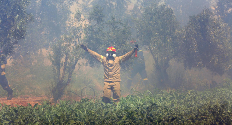 Incendios forestales en Grecia. Foto: EFE