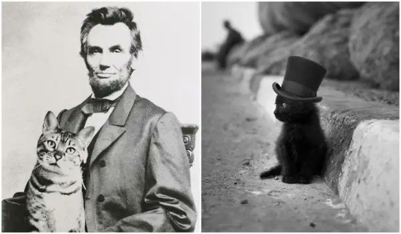 Tabby y Dixie, los gatos rescatados por Abraham Lincoln. Foto: X