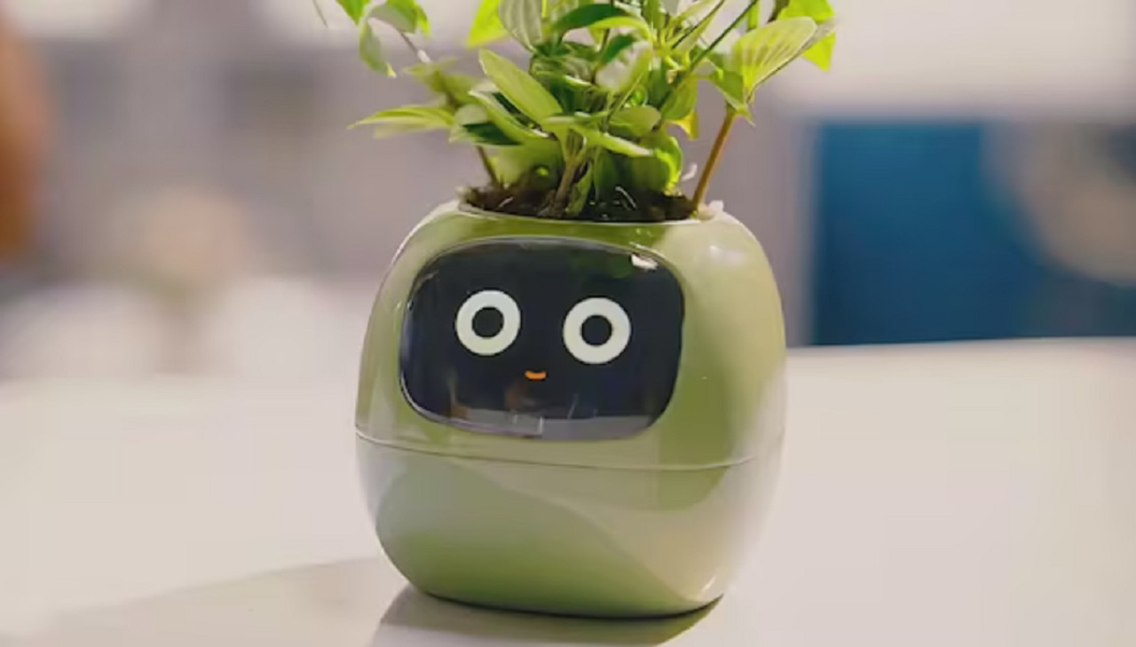 La maceta inteligente Ivy. Foto: My Pet Planter.