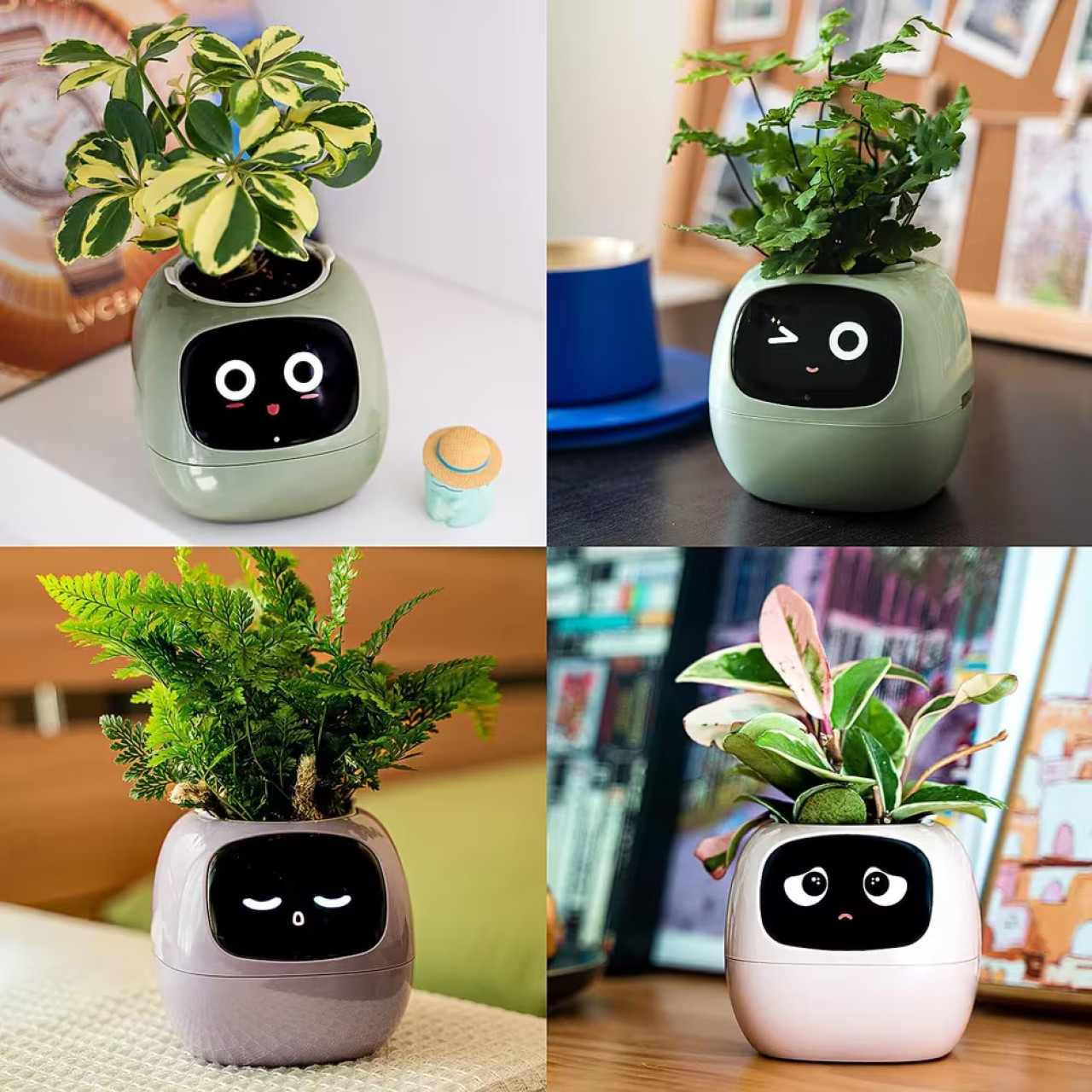 La maceta inteligente Ivy. Foto: My Pet Planter.