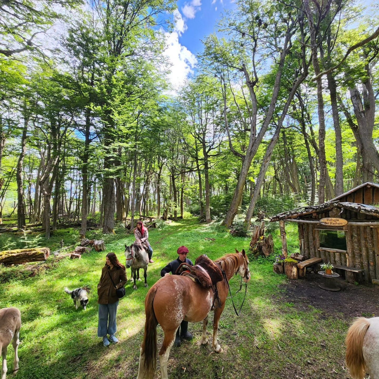 Valle de Tierra Mayor, atracción turística de Tierra del Fuego. Foto: Instagram/tierramayor.