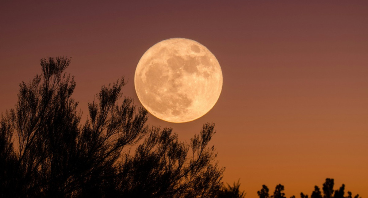 Luna llena. Foto: Unsplash.