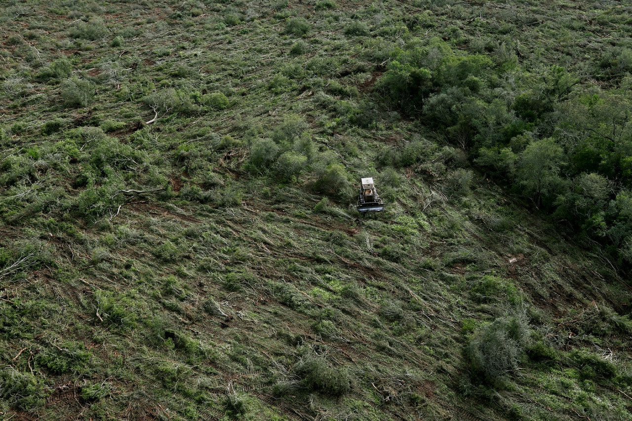 Deforestación en Chaco. Foto: Reuters