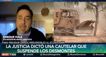 Enrique Viale sobre el desmonte en Chaco. Foto:  Captura  de video Canal 26