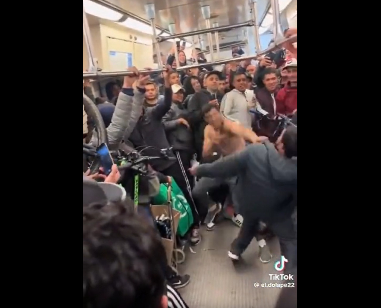 Pelea arriba del tren San Martín. Video: X.