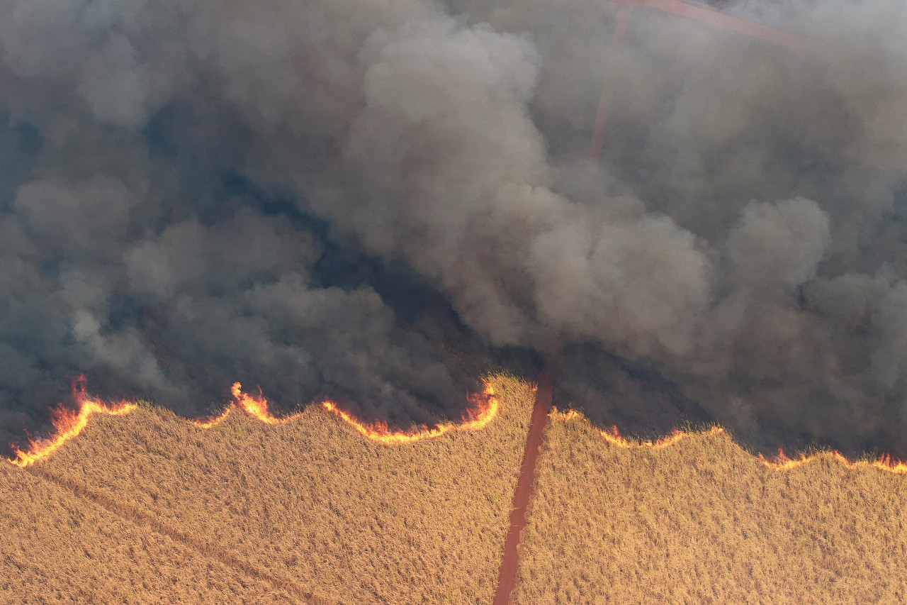 Incendios en Brasil. Foto: Reuters.