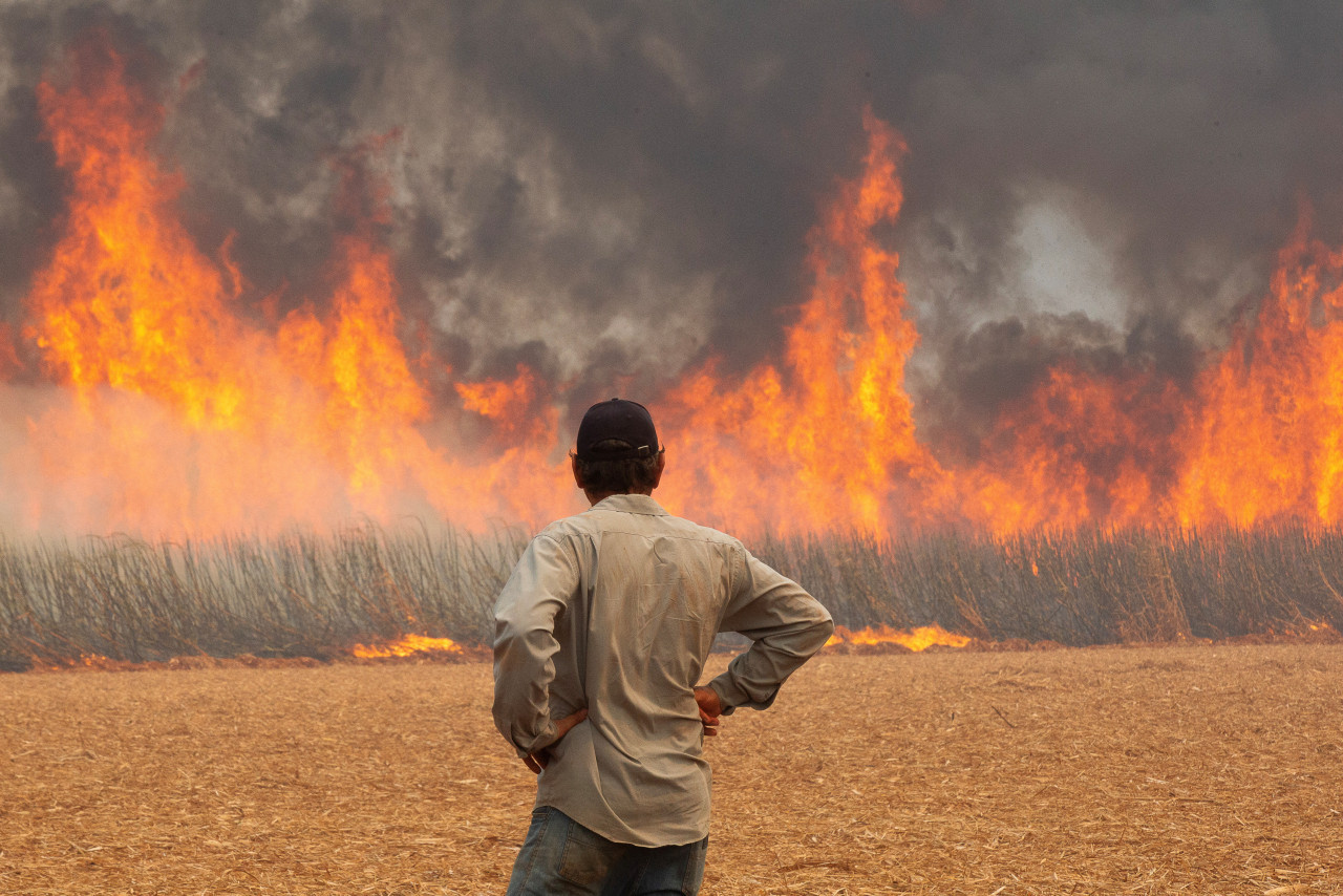 Incendios en Brasil. Foto: Reuters.