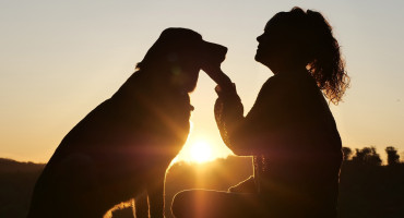 Felicidad, mascota, perro. Foto: Pexels.