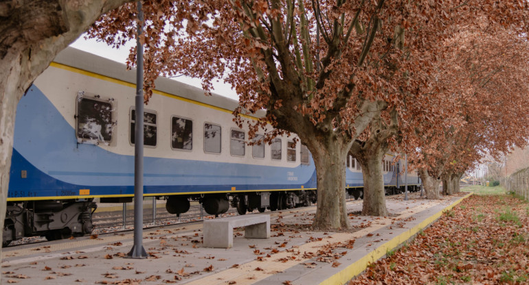 Trenes de larga distancia. Foto: Trenes Argentinos.