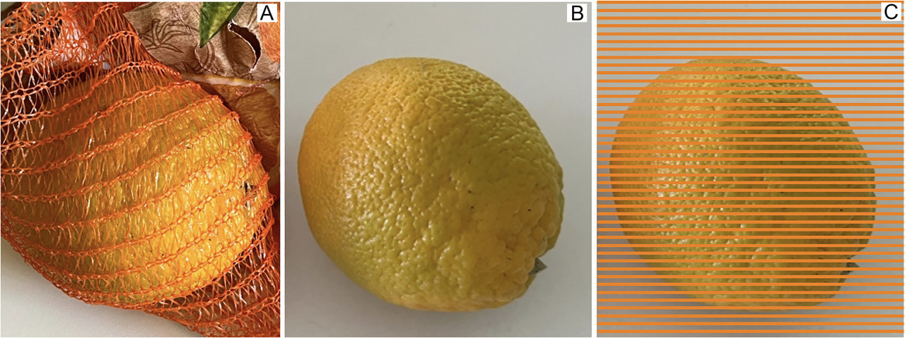 Uso de bolsas de red para crear una ilusión óptica sobre las frutas o verduras. Foto: i-Perception.