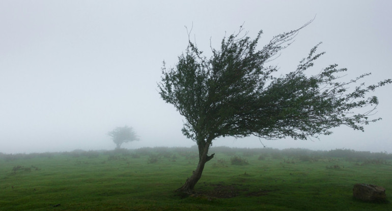 Viento. Foto: Unsplash.