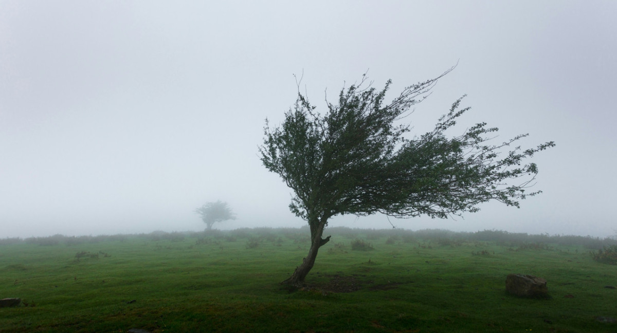 Viento. Foto: Unsplash.