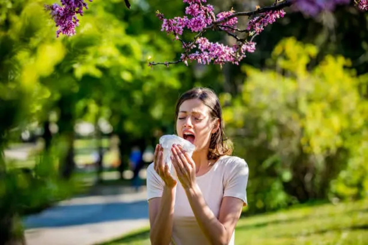 Alergias en primavera. Fuente: Unsplash.