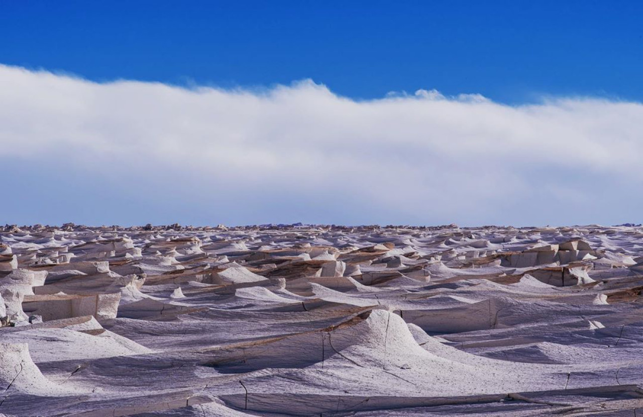 Campo de Piedra Pómez, Catamarca. Foto: X