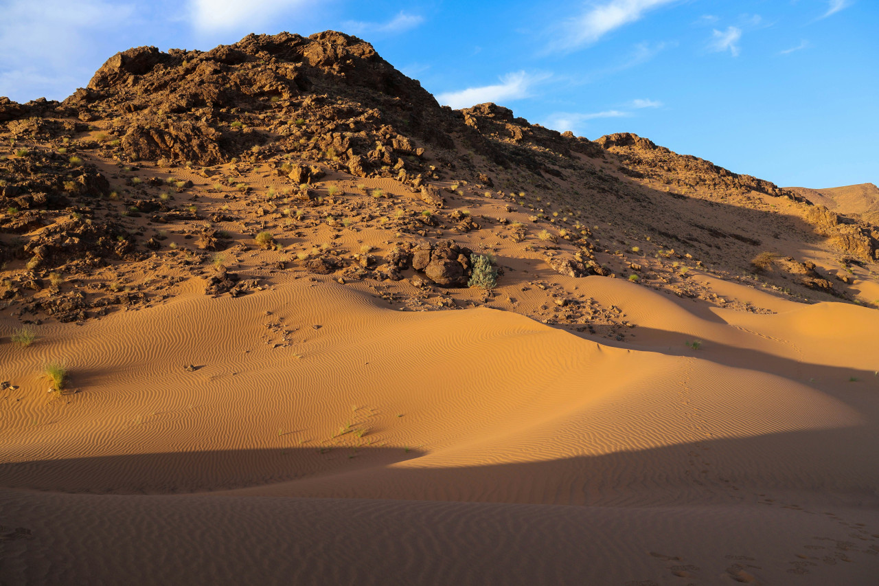 Desierto de Sahara. Foto: Unsplash.