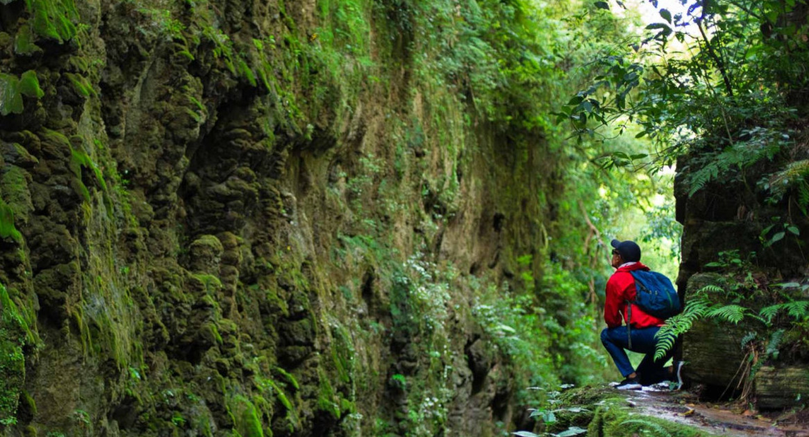 Yungas de Jujuy. Foto: Ruta Nacional.