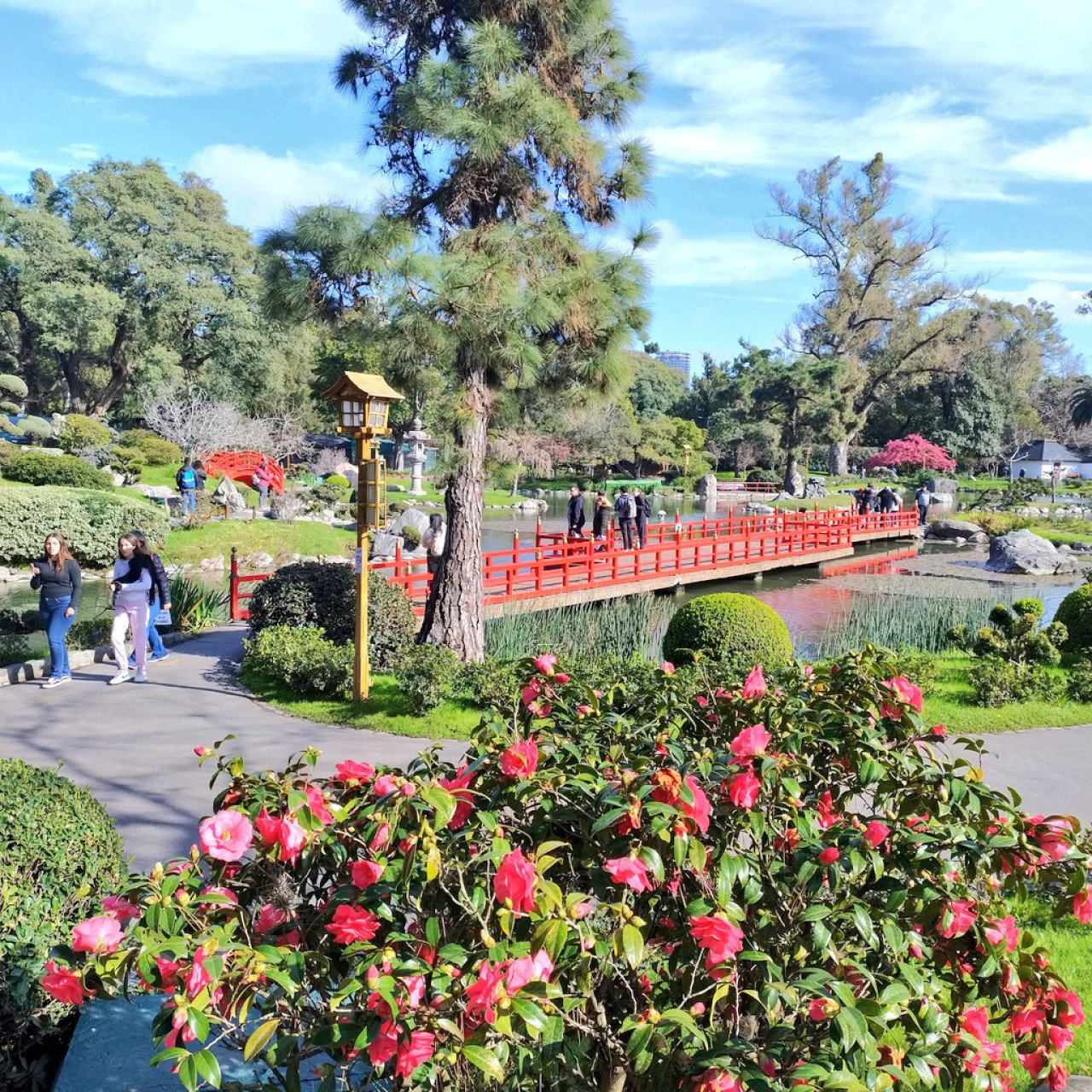 Jardín Japonés. Foto X @jardinjapones.