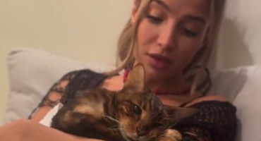 Brenda Asnicar despidió a su gato "Bandido". Foto: Instagram