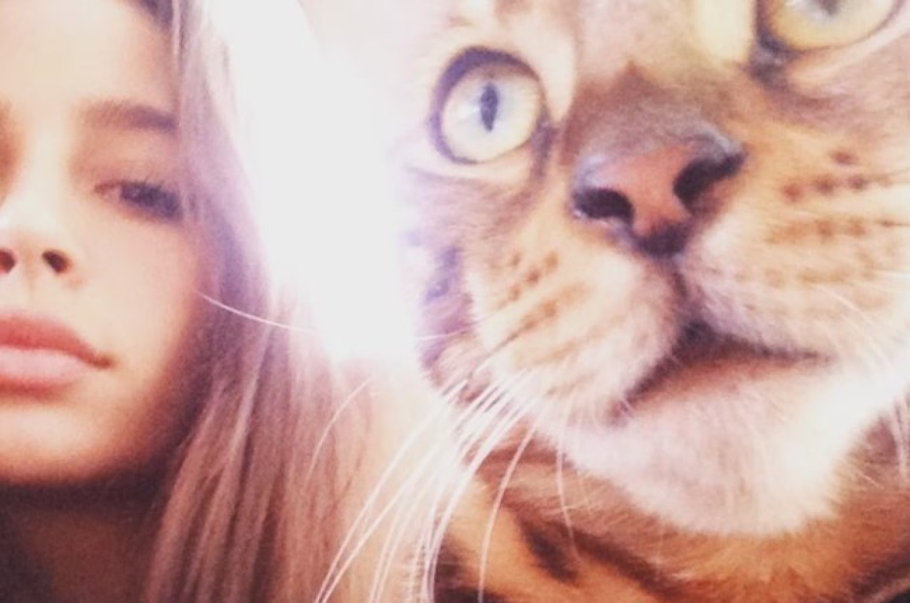 Brenda Asnicar despidió a su gato "Bandido". Foto: Instagram