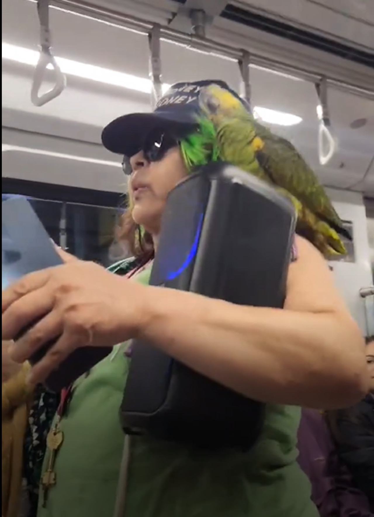 El show de esta mujer junto a su loro arriba del subte. Foto: Captura de video.