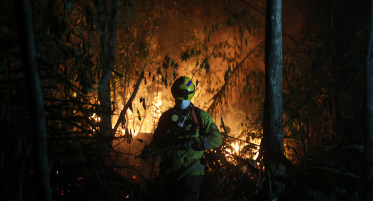 Incendios forestales en Bolivia. Foto: EFE