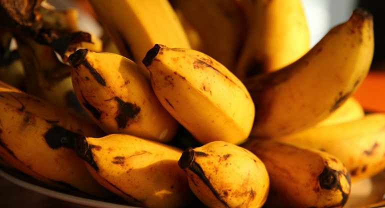 Bananas; frutas; alimentos. Foto: Unsplash.