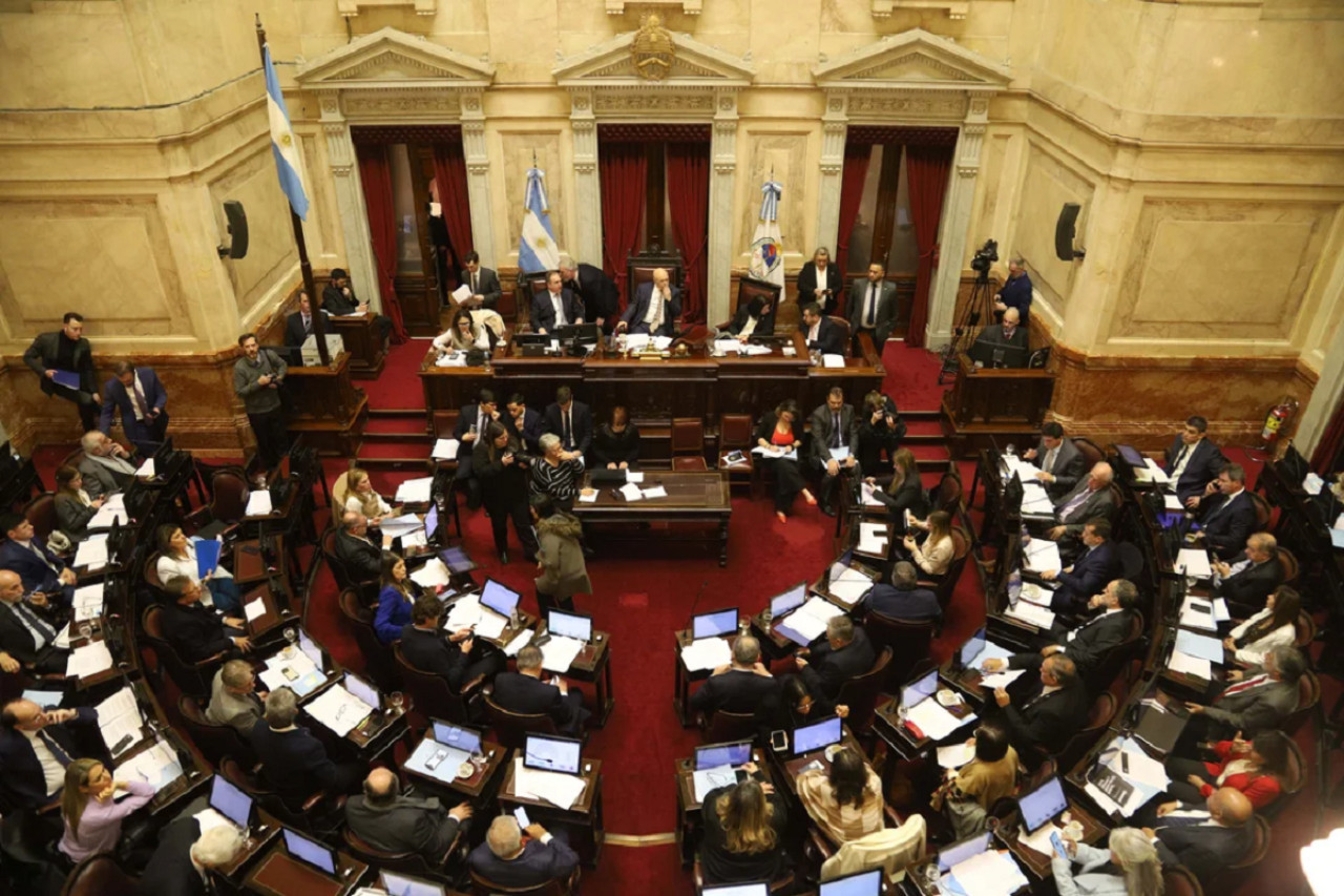 Debate en el Senado. Foto: NA