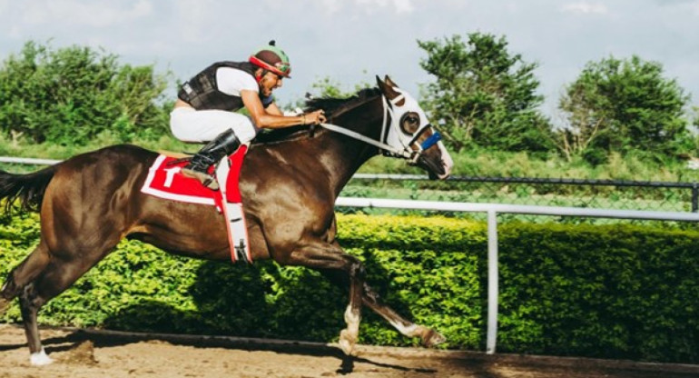 Jinete, carrera de caballos. Foto: Pexels