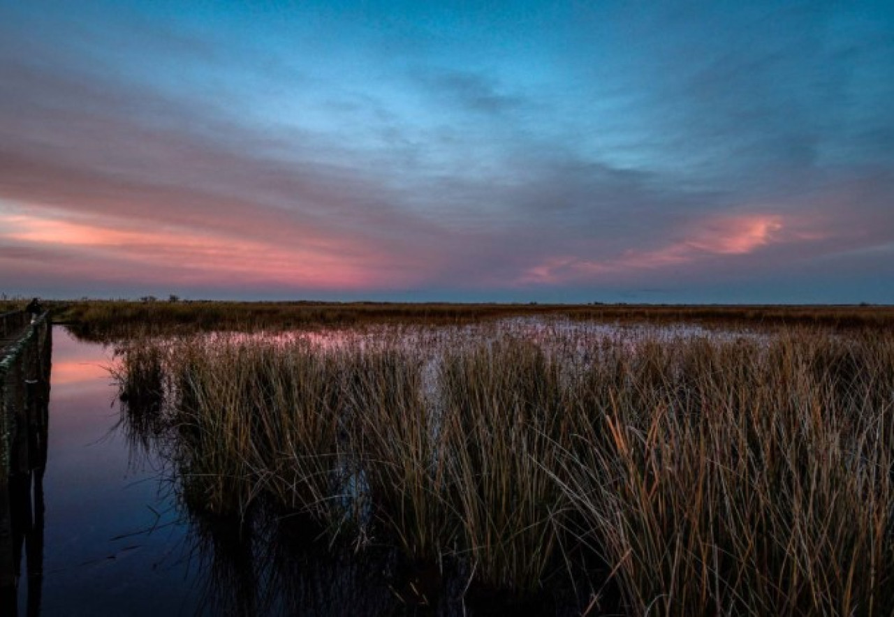 Parque Nacional Ciervo de los Pantanos. Foto: Argentina La Ruta Natural