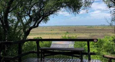 Parque Nacional Ciervo de los Pantanos. Foto: Argentina La Ruta Natural