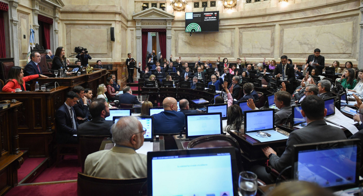 Debate en el Senado. Foto: X @SenadoArgentina