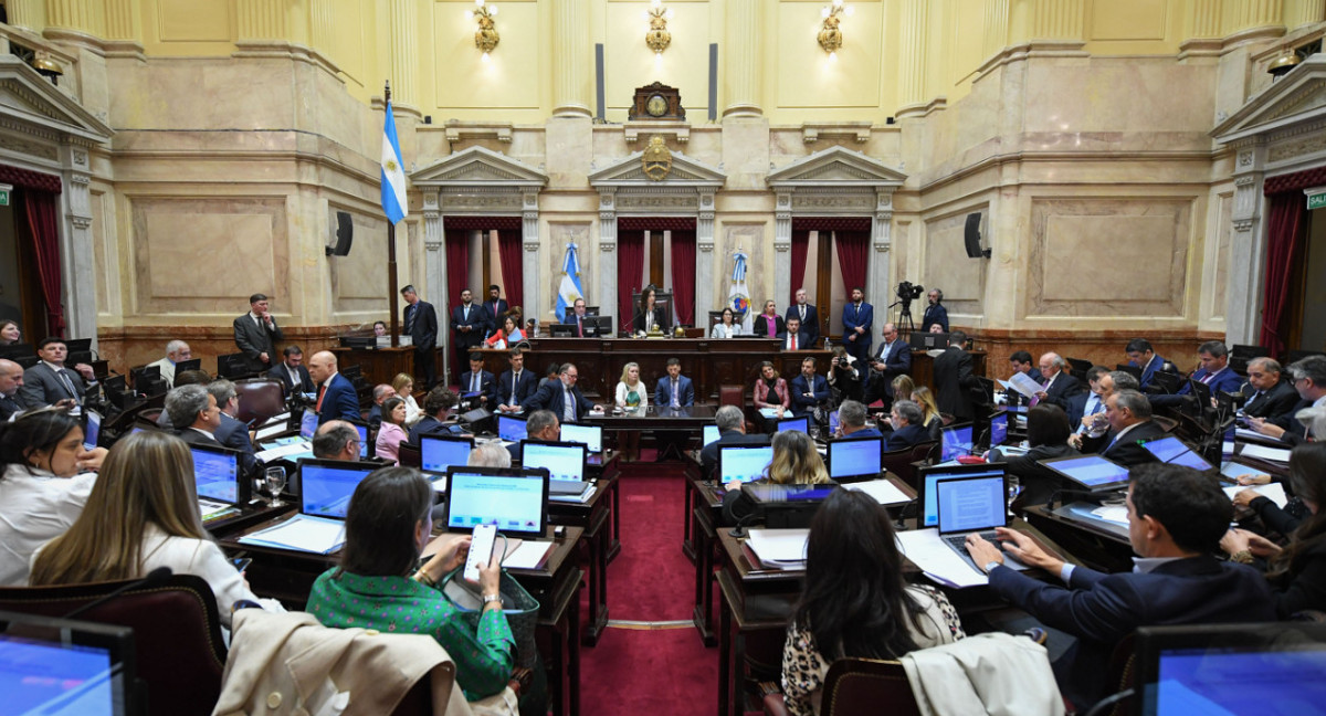 Debate en el Senado. Foto: X @SenadoArgentina