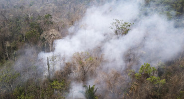 Incendio forestal en el Parque Estatal Guajará Mirim, Brasil. Foto: EFE.