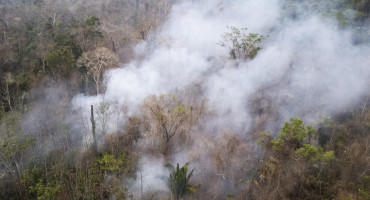 Incendio forestal en el Parque Estatal Guajará Mirim, Brasil. Foto: EFE.