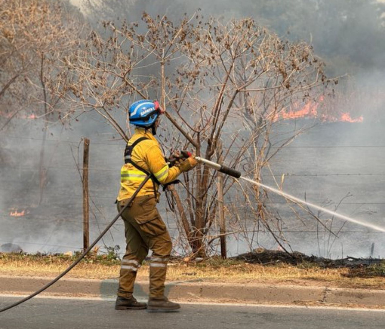 Incendios en Córdoba. Foto/X: @gobdecordoba