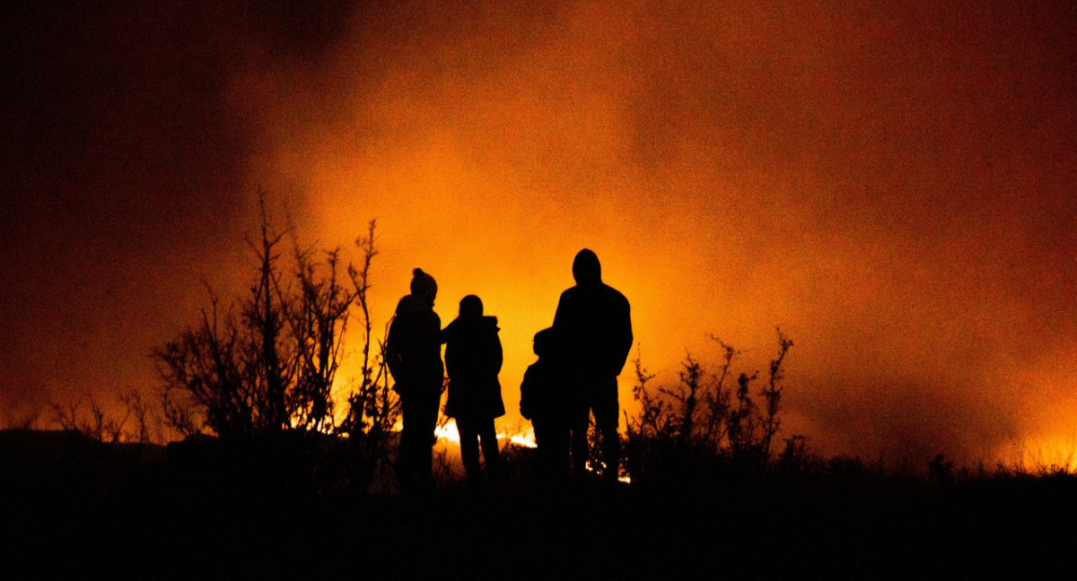 Incendio forestal. Foto: Unsplash