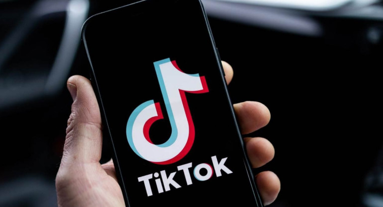 TikTok. Fuente: Captura.