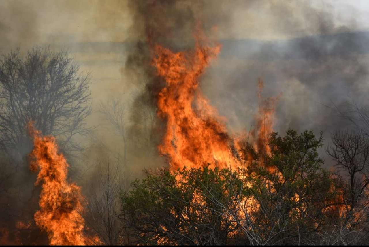 Incendios en Córdoba. Foto/X: @gobdecordoba