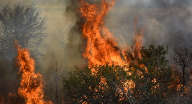 Incendios en Córdoba. Foto/X: @gobdecordoba