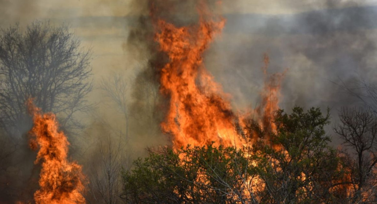 Incendios en Córdoba. Foto/X: @gobdecordoba