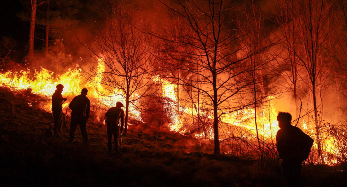 Incendios en Córdoba. Foto: EFE