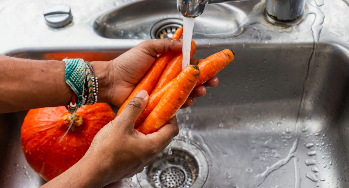 Verduras; alimentos. Foto: Unsplash