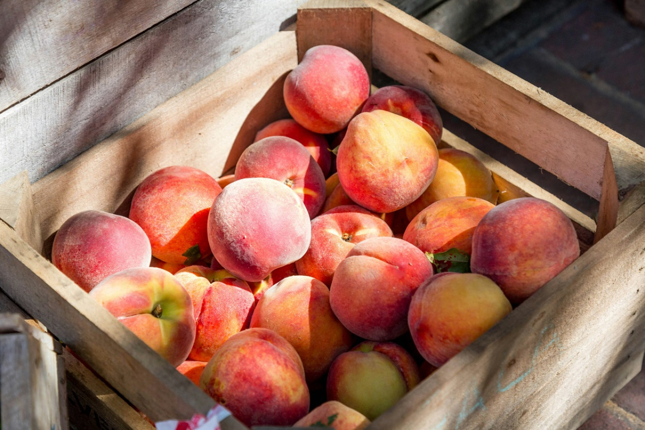 Duraznos; frutas. Foto: Unsplash.