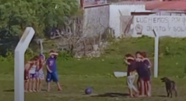 Minuto de silencio por un perrito fallecido antes de un partido de fútbol de niños. Foto: Captura de video.