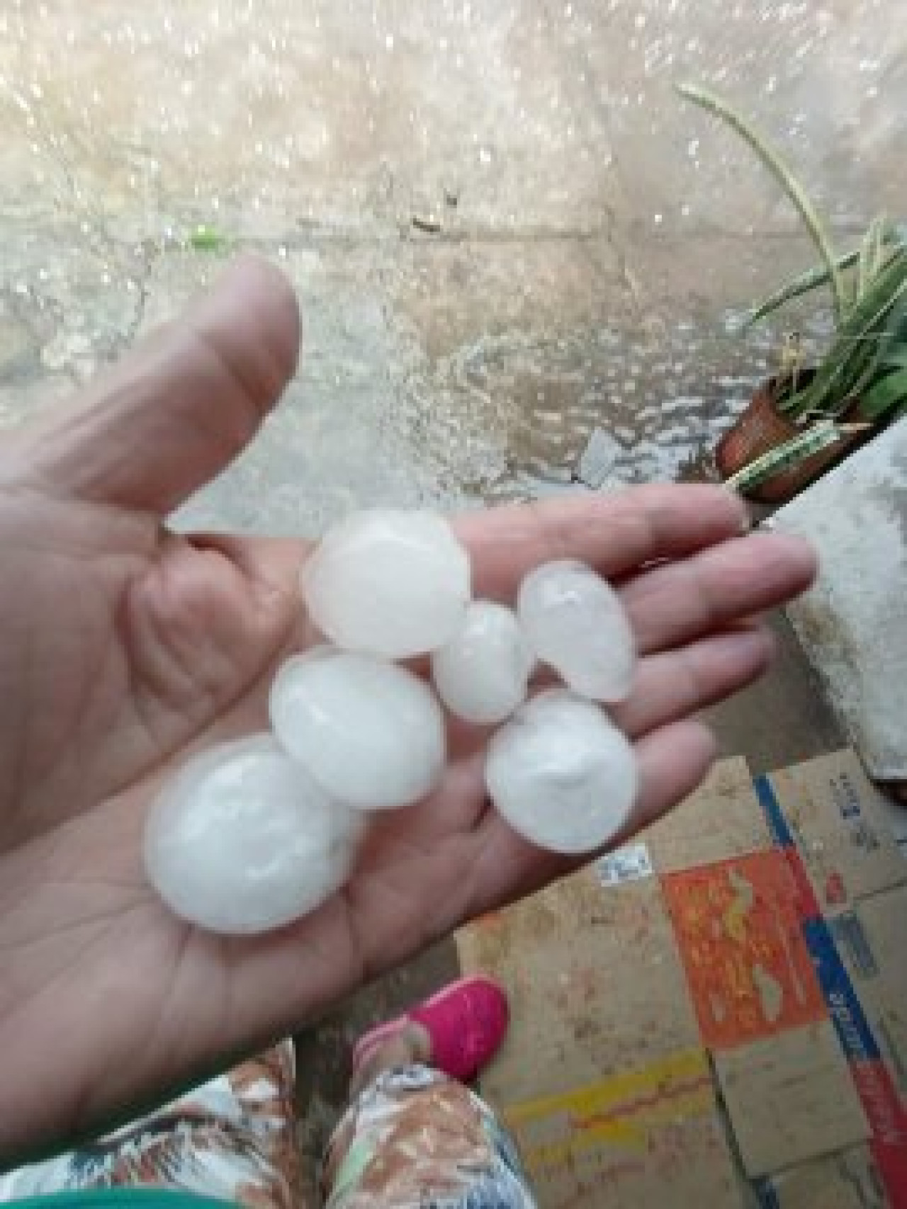 Caída de granizo en Merlo y Laferrere. Foto X @SurTormentas