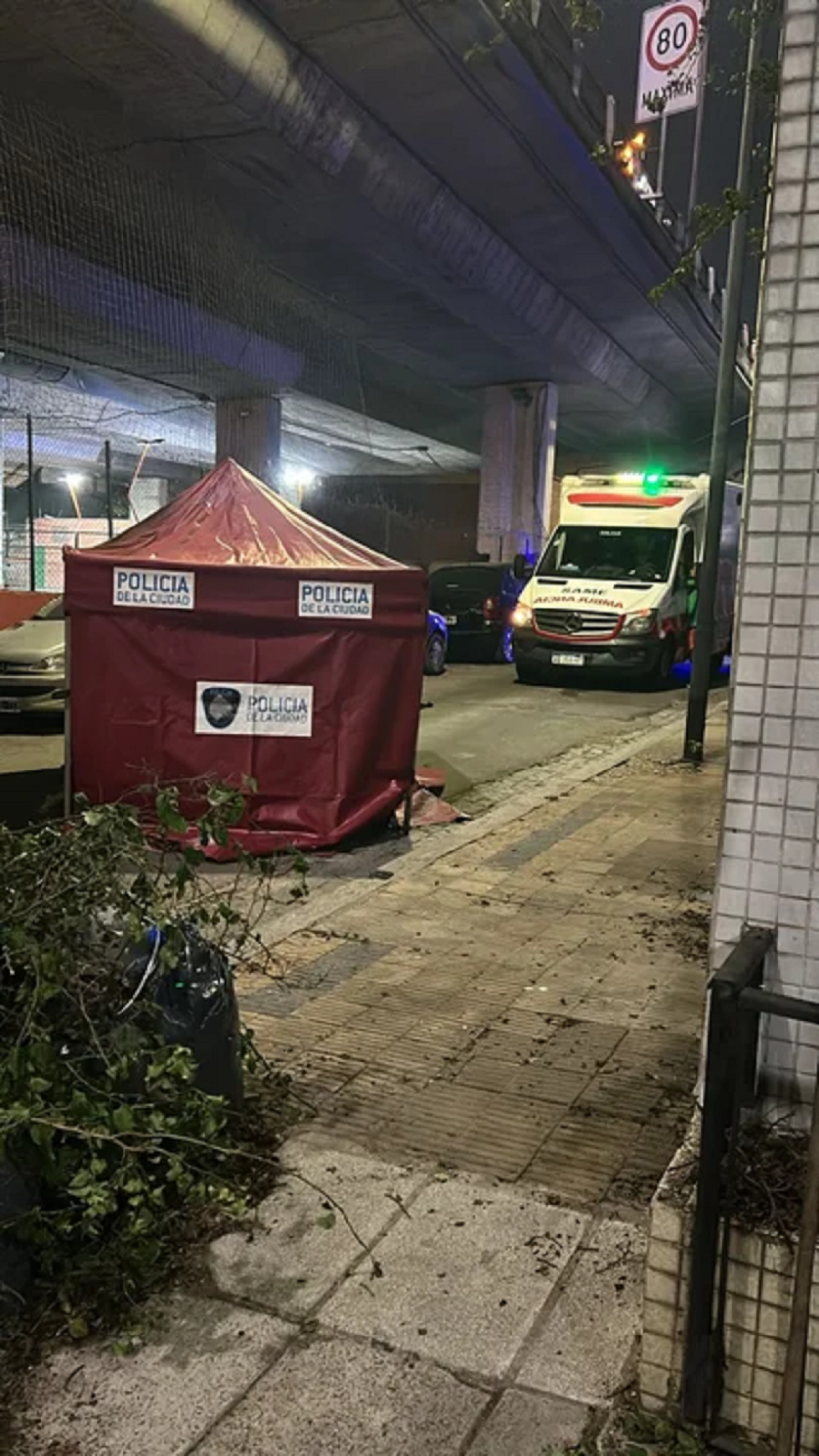 Un motociclista murió tras caer de la autopista 25 de Mayo. Foto: NA.