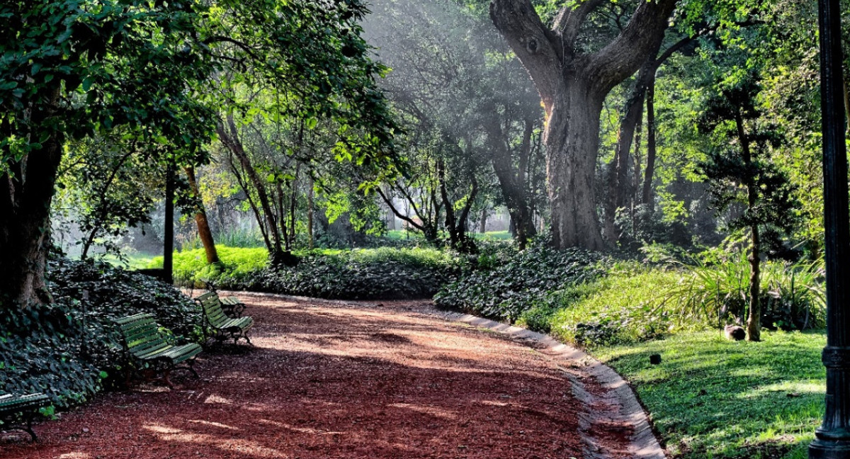 Jardín Botánico Carlos Thays. Foto: Buenos Aires Ciudad.