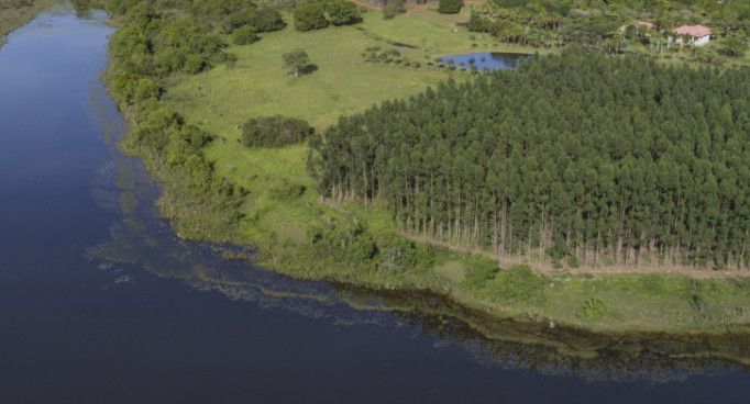 Proyecto Sucuriú de Arauco en Brasil. Foto: Arauco.